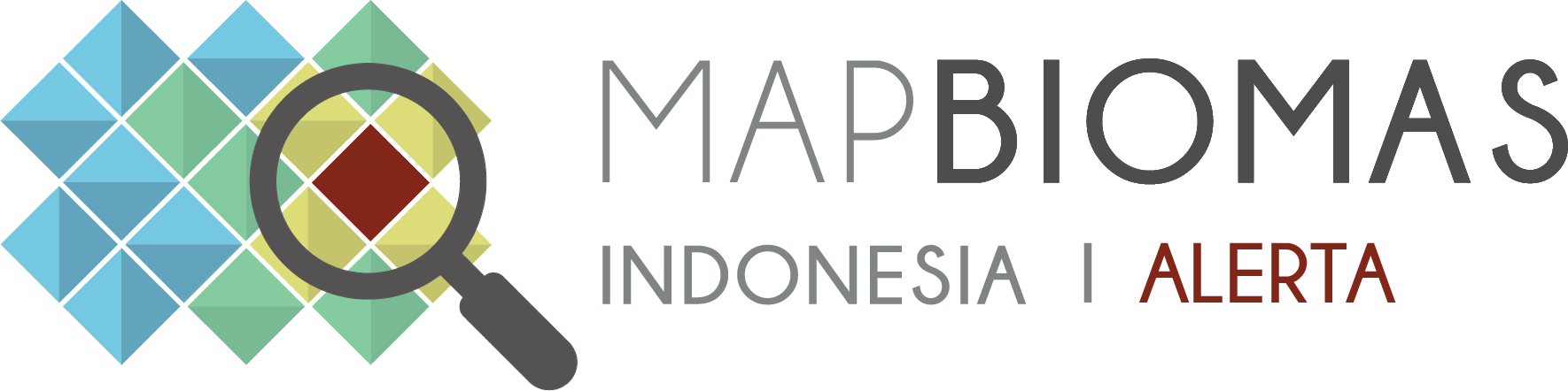 Mapbiomas Fire Indonesia