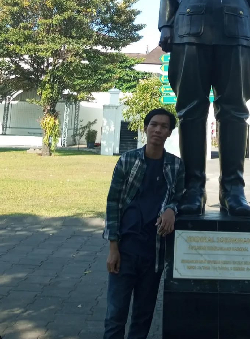 Mapbiomas Alerta - Sayudi